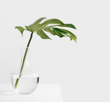 Transform Your Space with These Must-Have Home Decor Products Transform Your Space with These Must-Have Home Decor Products
